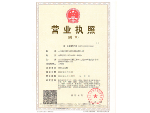 山東耐克特分析儀器有限公司營業執照