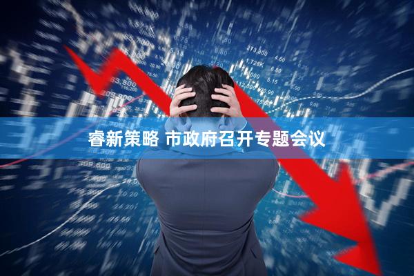 睿新策略 市政府召开专题会议